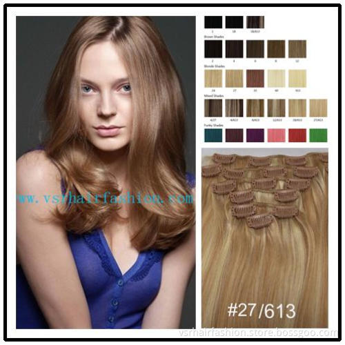Remy Hair Extension, Remy Human Hair Clip in Hair Extension, Virgin Human Hair Extension, Remy Hair